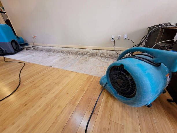 Professional Water Damage Repair technician working in Ponder, TX